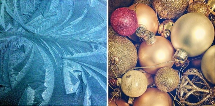 logan utah wedding photographer