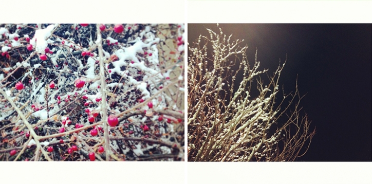 logan utah family photographer